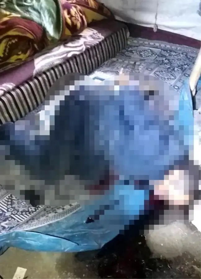 Şırnak'ın Beytüşşebap ilçesinde çadırda ölü bulunan vatandaşın cesedi otopsi için hastaneye kaldırıldı