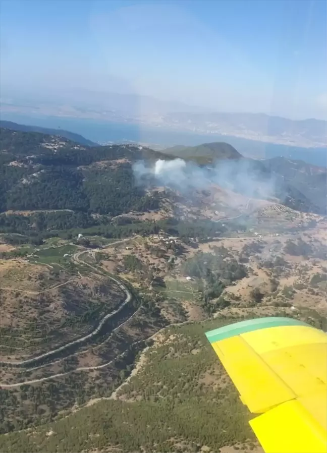 İzmir Karabağlar'da Orman Yangını: Havadan ve Karadan Müdahale Devam Ediyor