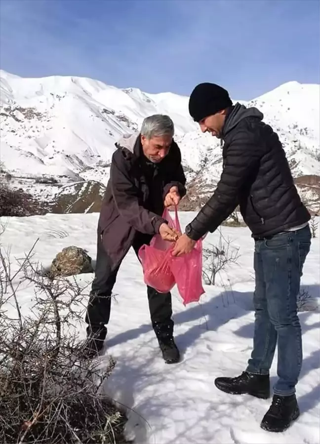 Adıyaman'da yaban hayvanları için doğaya yem bırakıldı