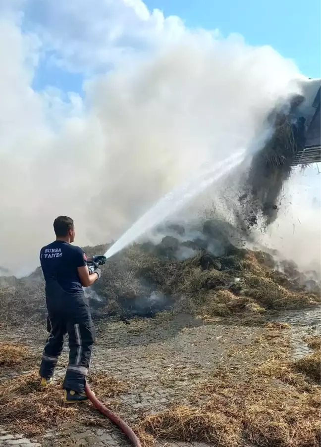 Bursa haberi | Bursa'da hayvan çiftliğinde yangın