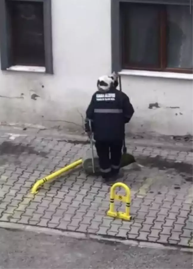 Omzuna çıkan kediyle sokakları süpürdü