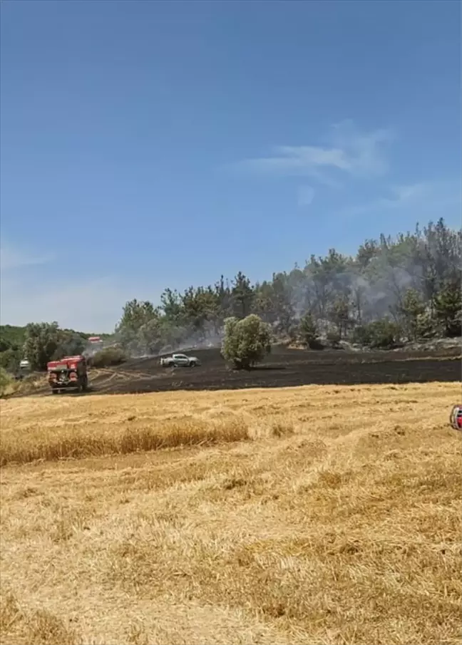 Çanakkale'de Orman Yangını Söndürme Çalışmaları Başlatıldı