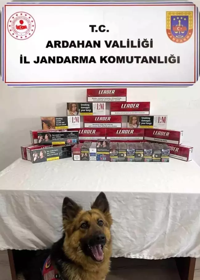 Ardahan'da Kaçak Sigara Operasyonu