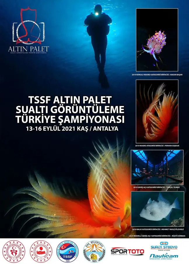 TÜRKİYE ŞAMPİYONLUĞU'NU GETİREN SUALTI FOTOĞRAFLARI VE FEDERASYON KUPASI KAZANAN SUALTI VİDEOSU KAŞ'TA ÇEKİLDİ - Türkiye Sualtı Sporları Federasyonu