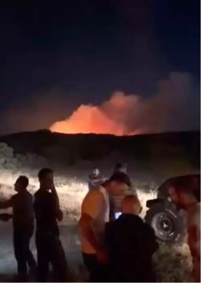 Elazığ'da çıkan orman yangını kontrol altına alındı