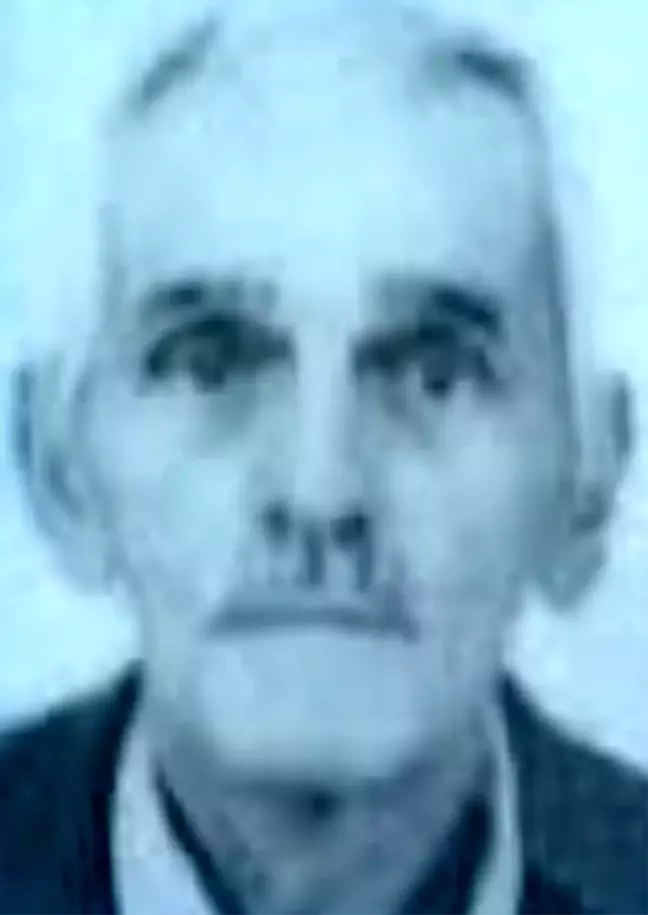 Son dakika haberleri! Yaşlı adam ormanlık alanda ölü bulundu