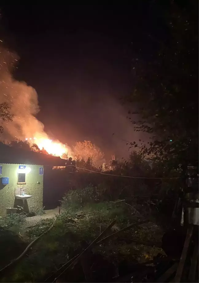 Adana'nın Kozan İlçesinde Narenciye Bahçesinde Yangın Çıktı