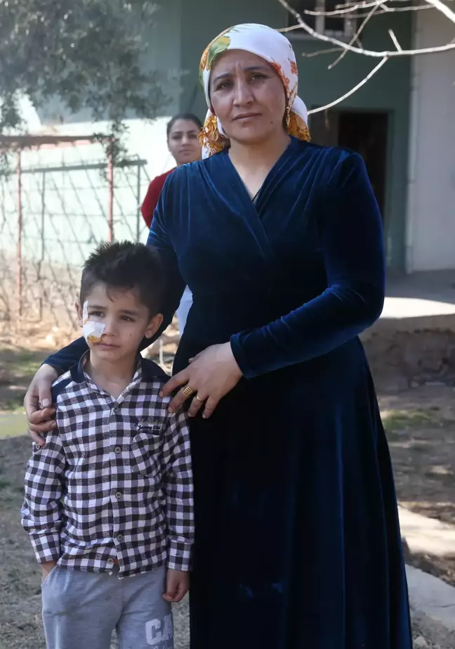 Mardin'de köpeklerin saldırdığı 4'ü çocuk 7 kişi taburcu edildi