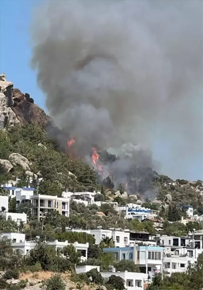 Bodrum'da Makilik ve Otluk Alanda Yangın