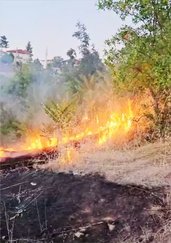 Safranbolu'da çıkan yangın söndürüldü