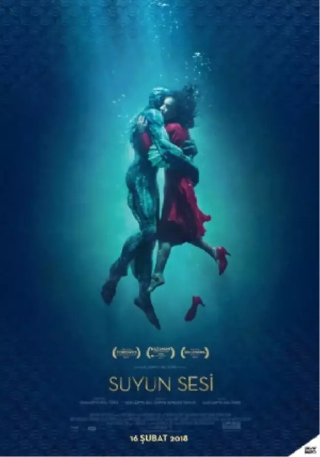 The Shape Of Water Filmi