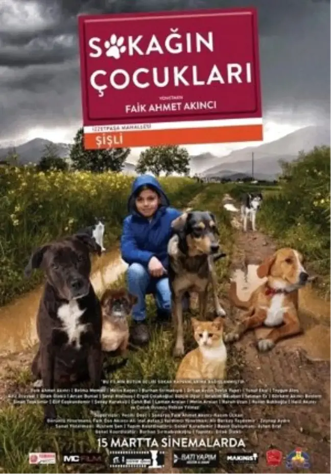Sokağın Çocukları Filmi
