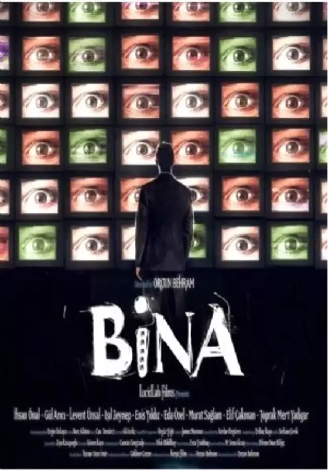 Bina Filmi
