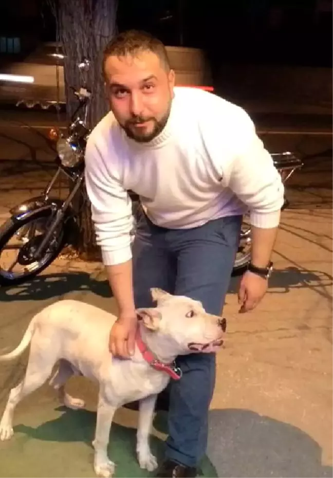 Tekeli Bayisine Silahlı Saldırı: 1 Ölü, 2'si Ağır 3 Yaralı