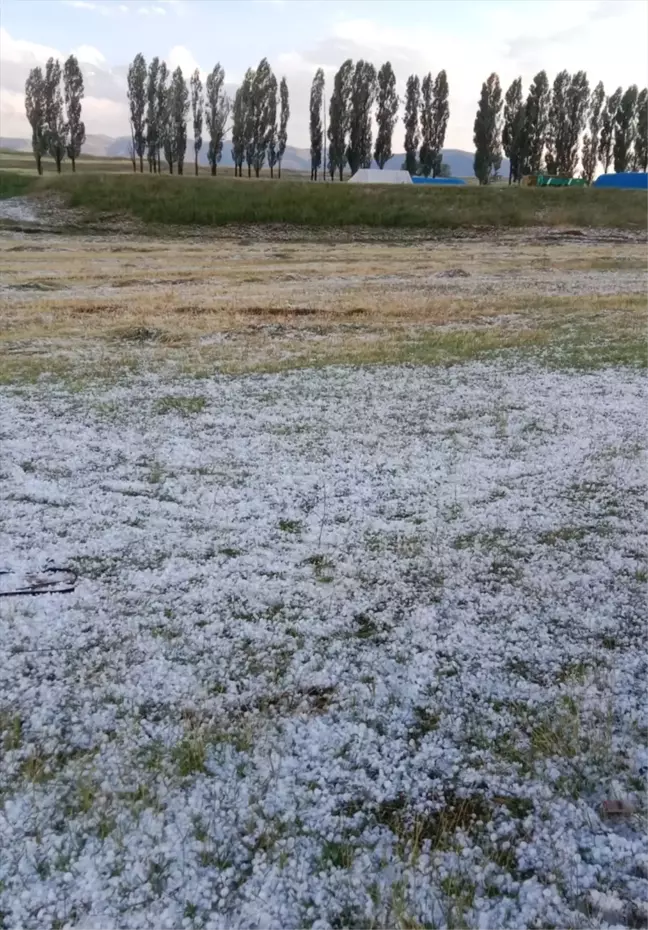 Ağrı'da etkili olan dolu tarım arazilerine zarar verdi