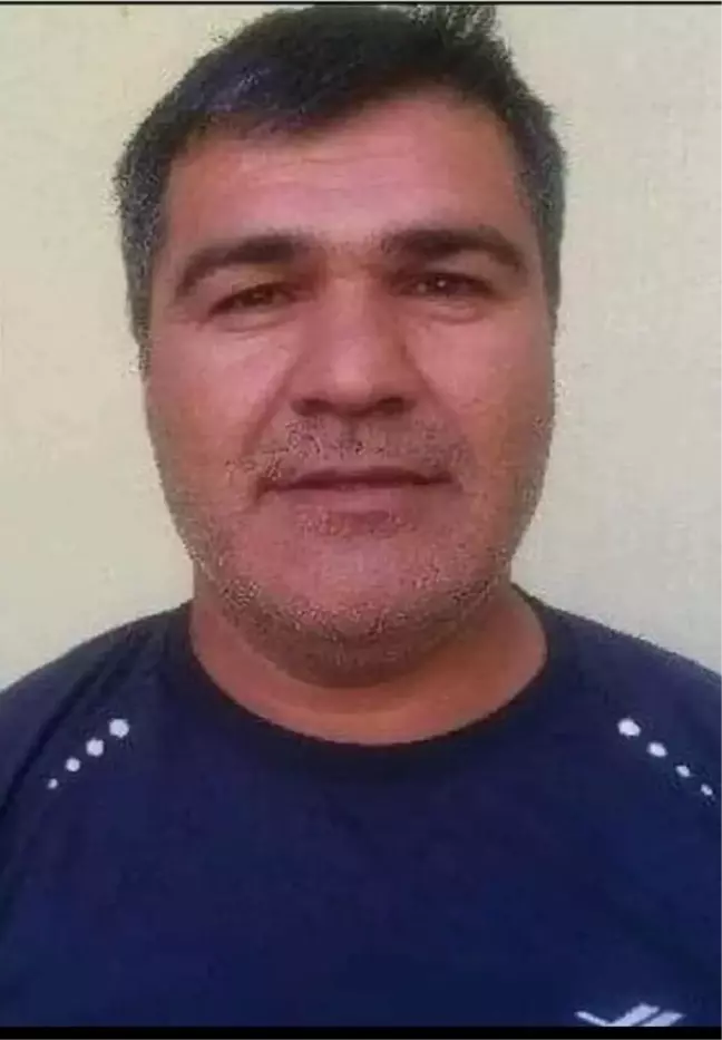 Şanlıurfa'da Otomobil Kazası: 1 Ölü, 2 Yaralı