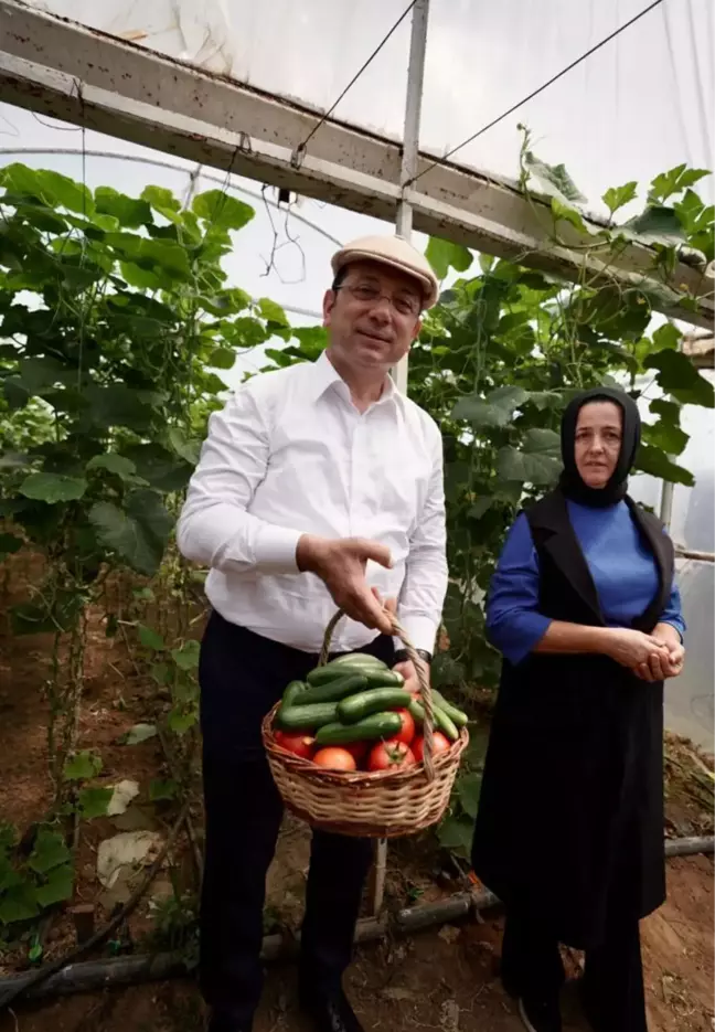 İBB'nin ücretsiz dağıttığı fidelerin ilk mahsulü Sarıyer'de toplandı