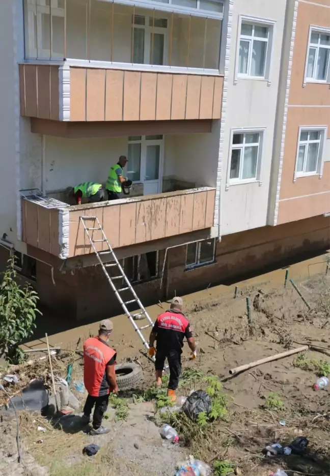 Sahiplerini kaybeden kedilere ilkyardım Kartal Belediyesi ekiplerinden geldi