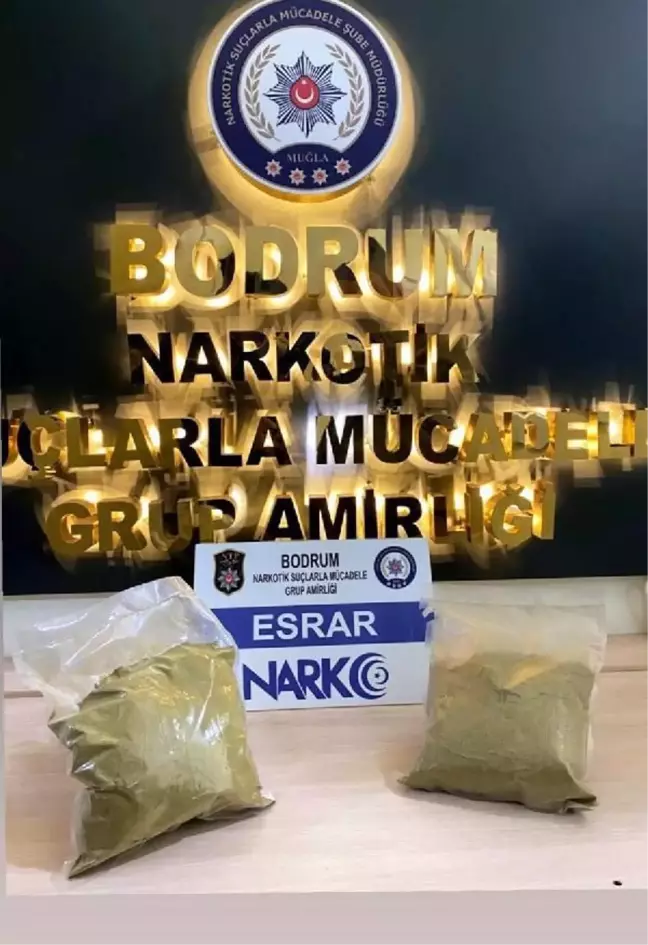 İstanbul'dan Bodrum'a uyuşturucu sevkiyatına 5 gözaltı