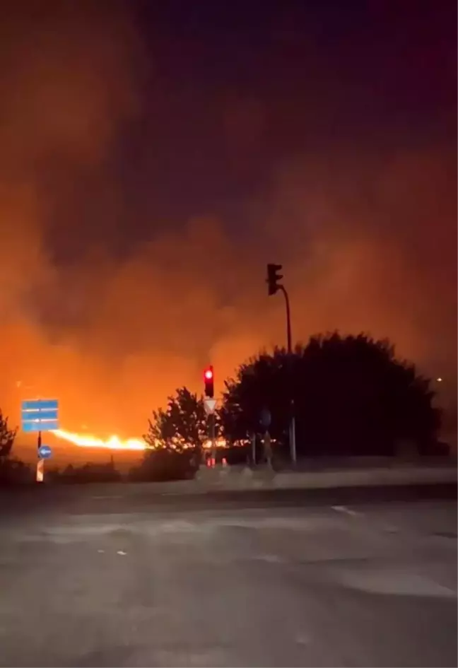 Adıyaman'da çıkan yangın alevleriyle gecenin karanlığını aydınlattı