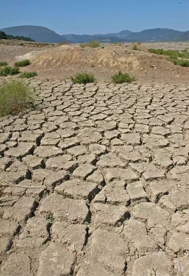 Ege Bölgesi'nde Kuraklık Durumu İnceleniyor