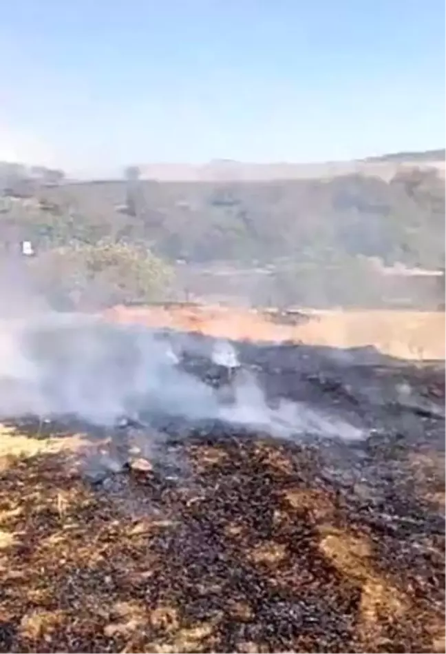 Elazığ'da otluk alanda çıkan yangını söndürme çalışmaları sürüyor