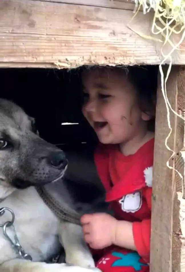 Erzurum gündem haberi... Erzurum'da Küçük çocuğun köpek sevgisi görenleri gülümsetti