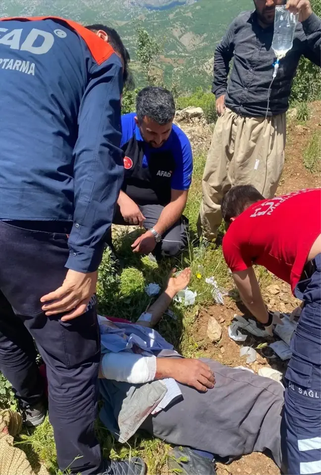Şemdinli'de Ayı Saldırısı: Bir Kişi Yaralandı