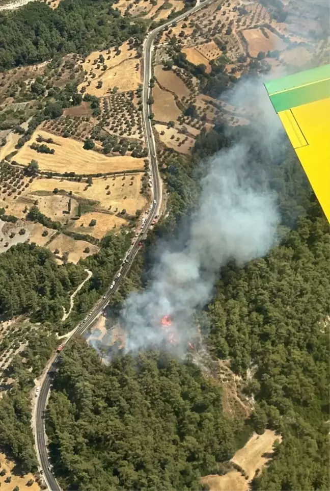 Muğla'da Orman Yangınına Havadan ve Karadan Müdahale