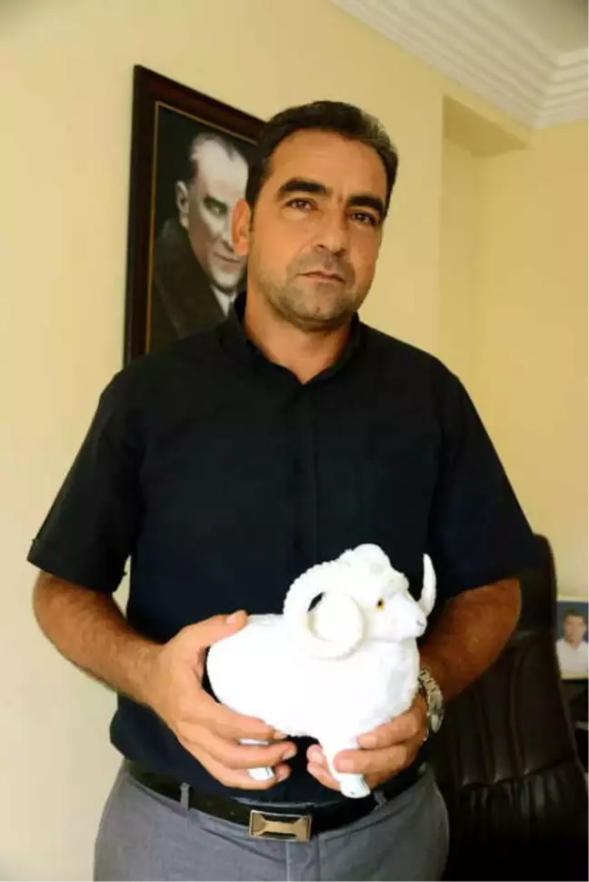 Ucuz Kurbanlıkta, Hayvanın Sağlığına Dikkat Edin'