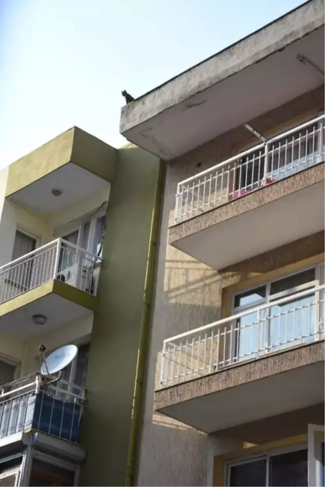 Apartmanın Çatısındaki Kedi 25 Günün Sonunda Kurtarıldı