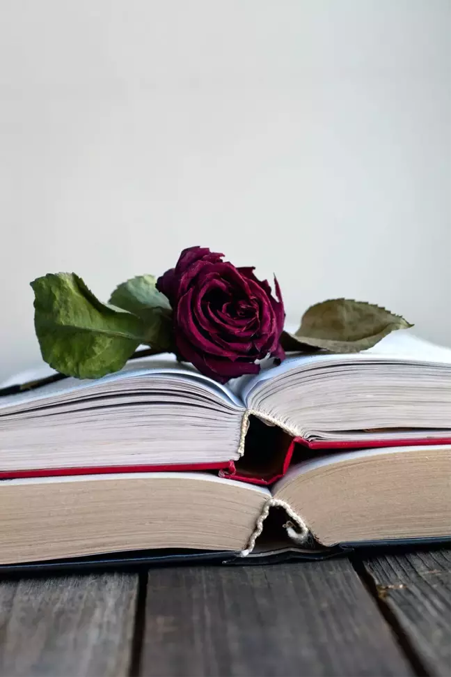 Bilgi Eğitim'de Fenomen Romancılara Dair Bir Yolculuk…