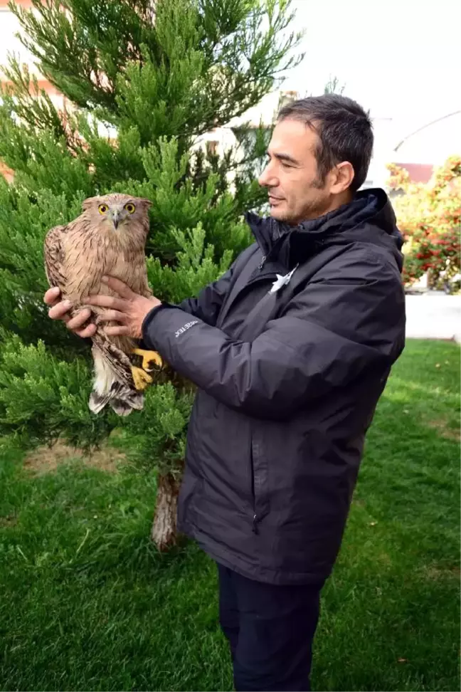 Burdur'da İlk Kez Balık Baykuşu Görüldü