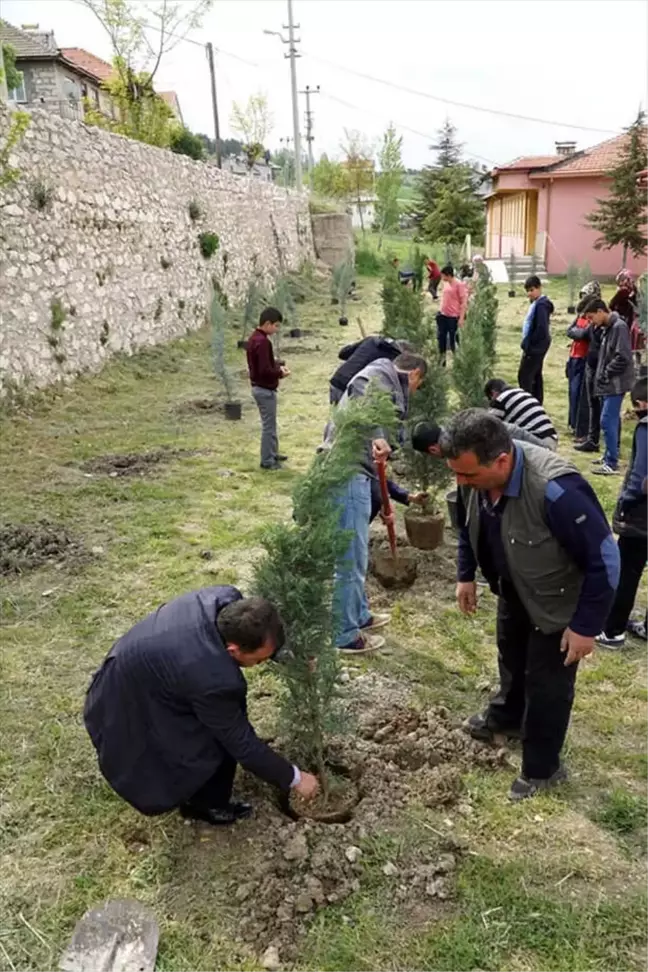 Derebucak'ta Öğrenciler Okul Bahçesine Fidan Dikti