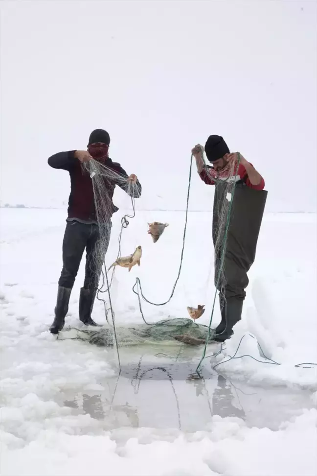 Bitlis'te Donan Gölde Balık Avı
