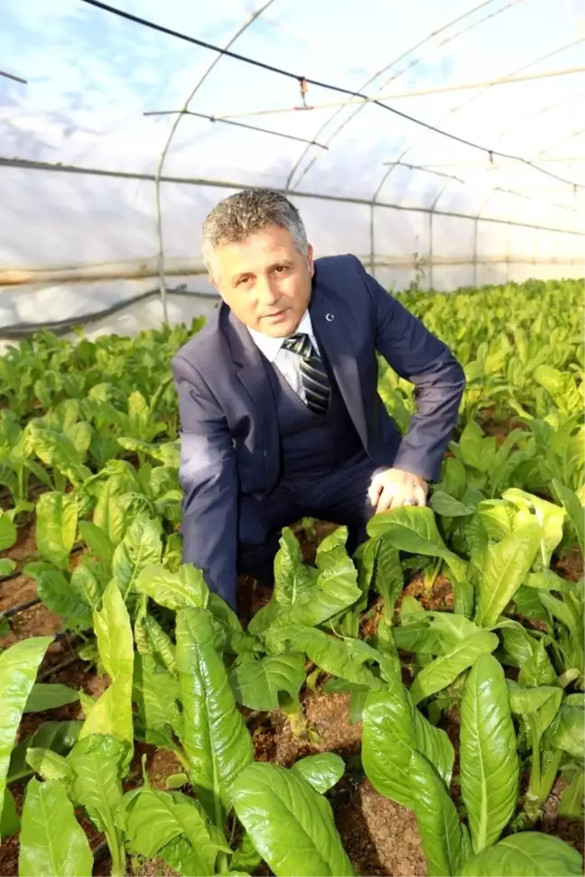 16 Ekim Dünya Gıda Günü