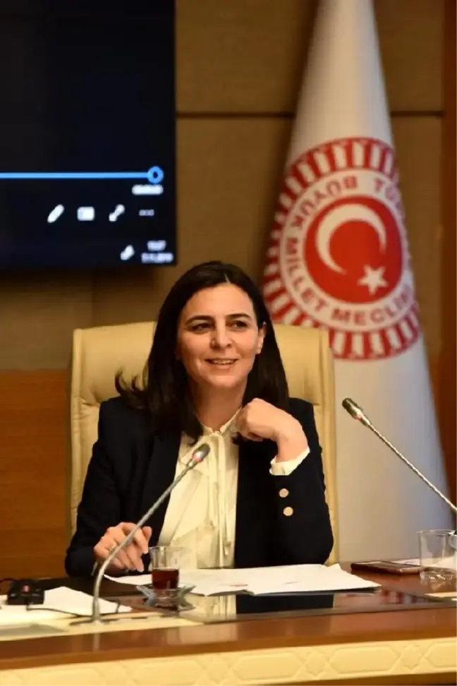 AK Parti'li Durgut: Araçta sigara içmek, çocuk haklarının ihlali