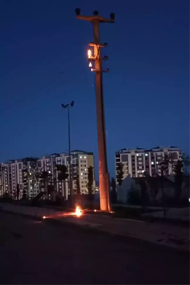 Elazığ'da elektrik direğinde çıkan yangın söndürüldü