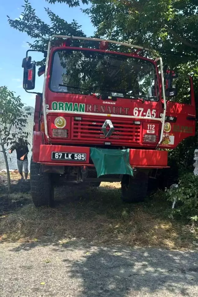 Zonguldak'ın Alaplı ilçesinde fındık bahçesinde yangın çıktı