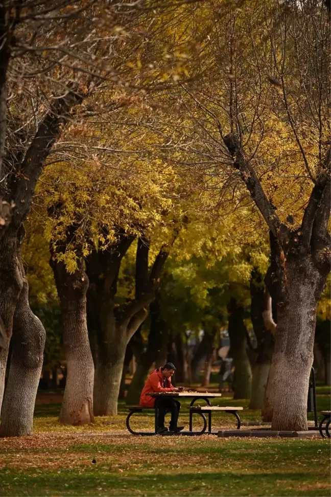 Gaziantep'te Sonbahar Renkleri Parkları Şenlendiriyor