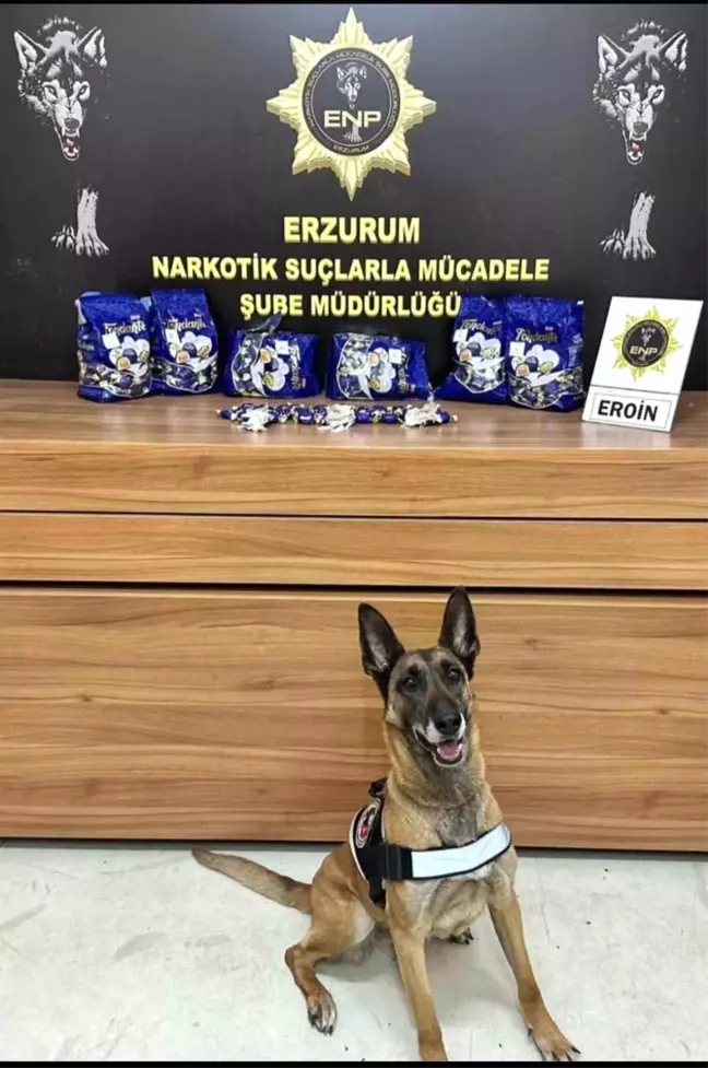 Erzurum Emniyeti'nin Narkotik Köpeği Eris, Uyuşturucu Tacirlerinin Kâbusu Oldu