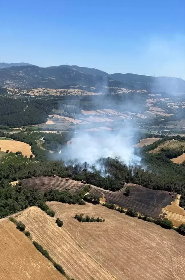 Balıkesir'de Tarım Arazisinde Başlayan Yangın Kontrol Altına Alındı