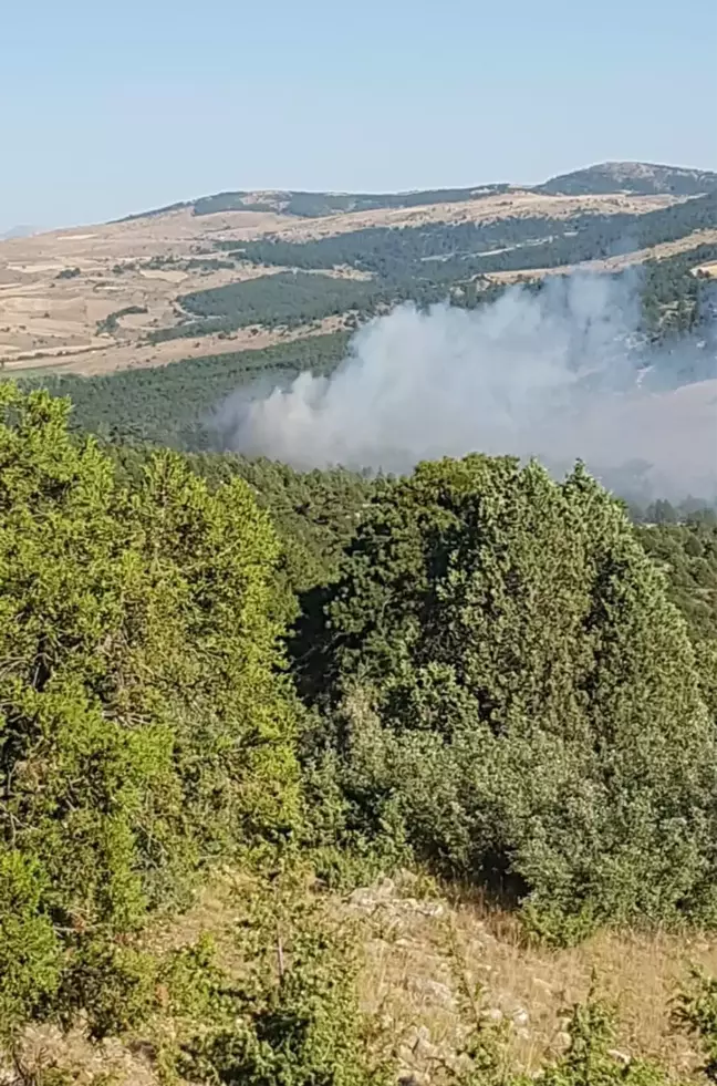 Ilgın'da çıkan yangın söndürüldü, 2 kişi gözaltına alındı