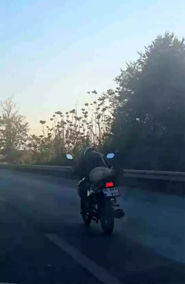 Bursa'da Motosiklet Üzerinde Seyahat Eden Sürücü Şaşırttı