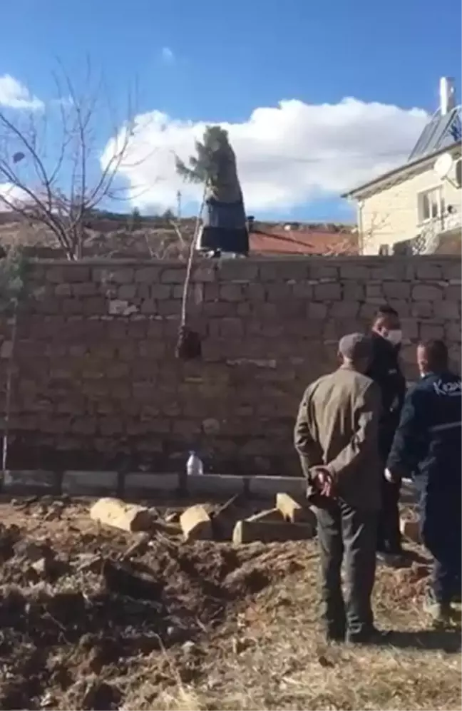 Nevşehir'de parkta ağaç diken belediye görevlilerine taşlı saldırı