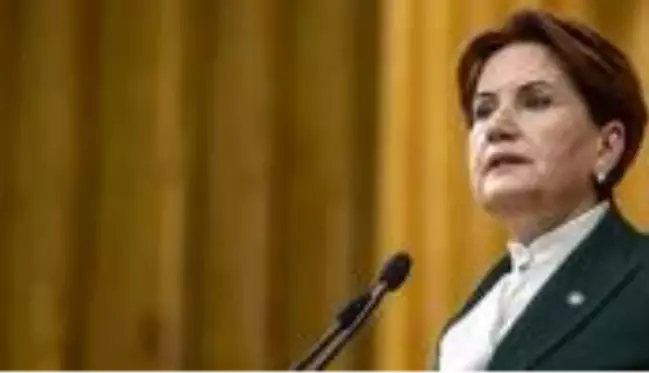 Meral Akşener: Bilim Kurulu tam karantina istedi, Erdoğan bunu reddetti