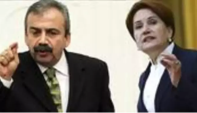 HDP'li Önder, Meral Akşener'in 