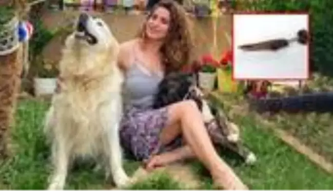 Oyuncu Gamze Topuz, köpeklerine çivili kemik atıldığını görünce şikayetçi oldu