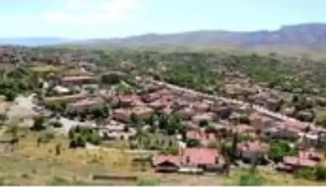 Sivas'ın Divriği ilçesini ziyaret eden 3 kişide Kovid-19 çıktı, vaka bulunmayan bölgede 75 kişi karantinaya alındı