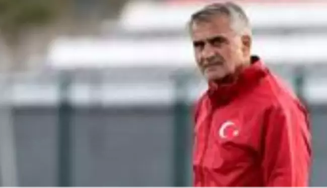 Şenol Güneş, EURO 2020'deki rakiplerine WhatsApp'tan seslendi: Atmosferi hayal et